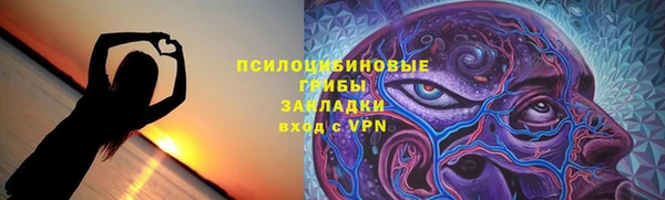 Альфа ПВП Елабуга