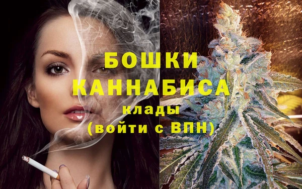 ПСИЛОЦИБИНОВЫЕ ГРИБЫ Елизово